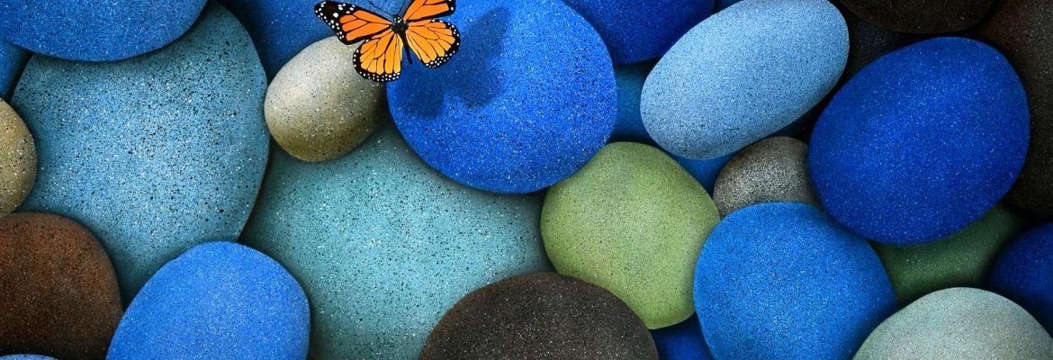 Hupfer Male Foster Home, Princeton