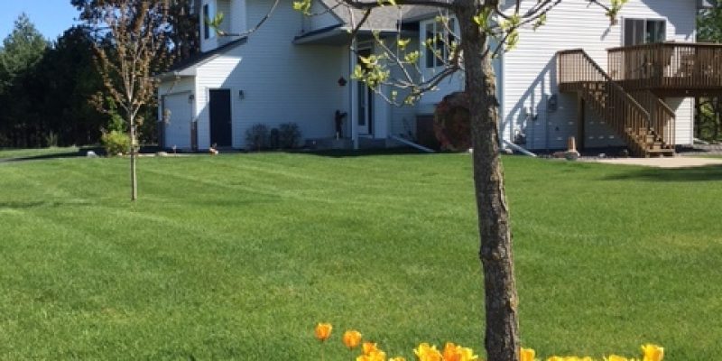 Bette Quarberg All Female Adult Foster Home, Zimmerman