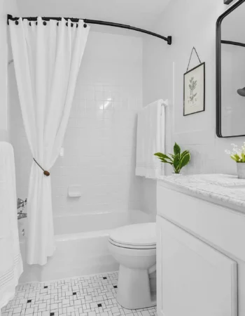 ALLY GROUP HOMES LLC, St. Louis Park