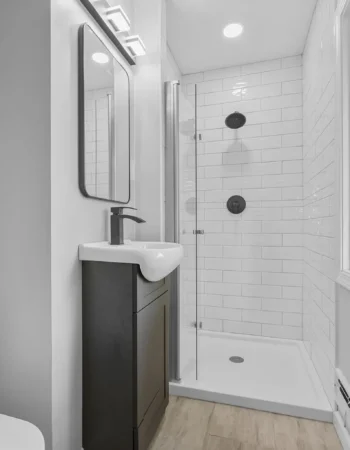 ALLY GROUP HOMES LLC, St. Louis Park