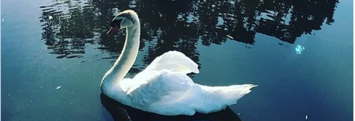 Jeffrey and Joanne Hasser AFC, Milaca