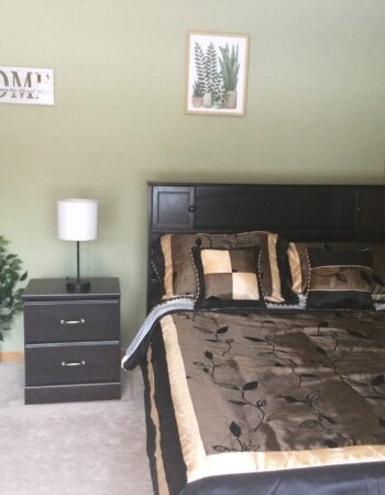 Michu Adult Foster Care LLC, Maplewood