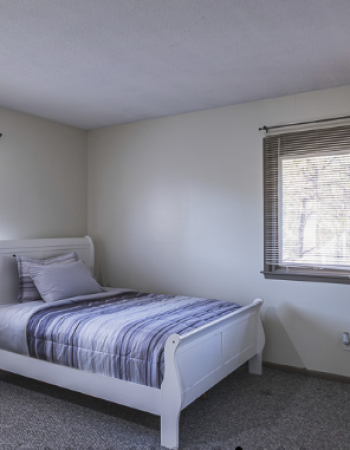 Skyview Home care LLC,  Burnsville