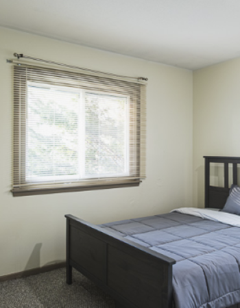 Skyview Home care LLC,  Burnsville