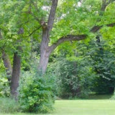 JOYFUL LIVING Adult Foster Care, Saint Cloud