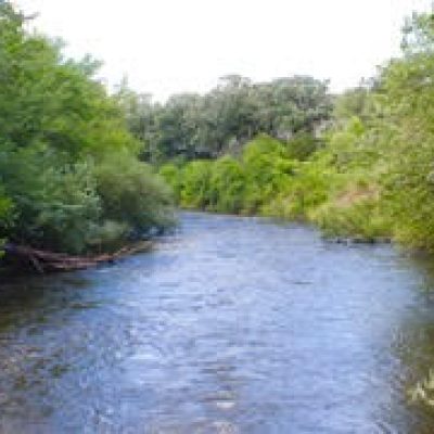 JOYFUL LIVING Adult Foster Care, Saint Cloud